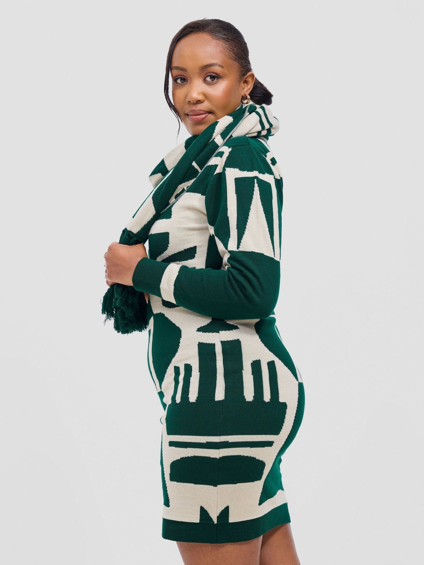 Vivo Lalani Turtleneck Sweater Dress - Light Emerald Green / Ivory Samba Print - Shopzetu