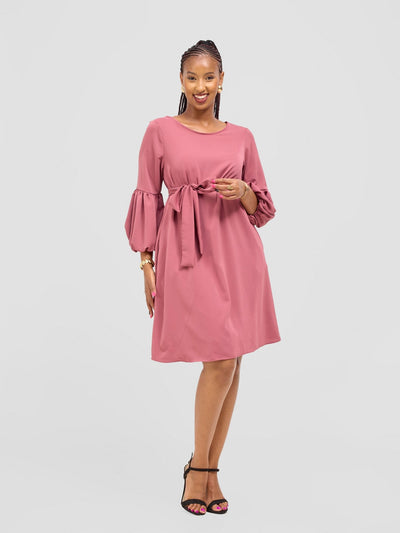 Vivo Zena Bishop Panel Long Sleeve Round Neck Dress - Dusty Pink - Shopzetu