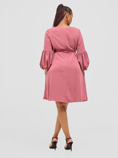 Vivo Zena Bishop Panel Long Sleeve Round Neck Dress - Dusty Pink - Shopzetu