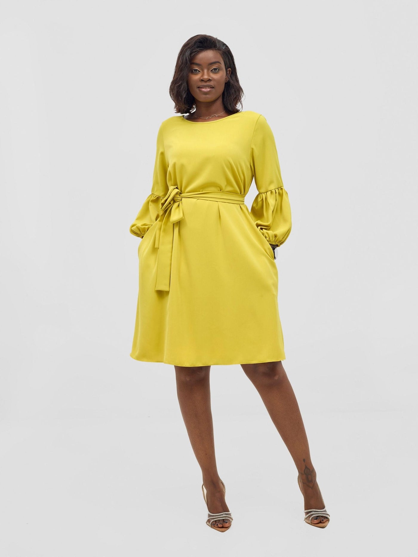 Vivo Zena Bishop Panel Long Sleeve Round Neck Dress - Lime Green - Shopzetu