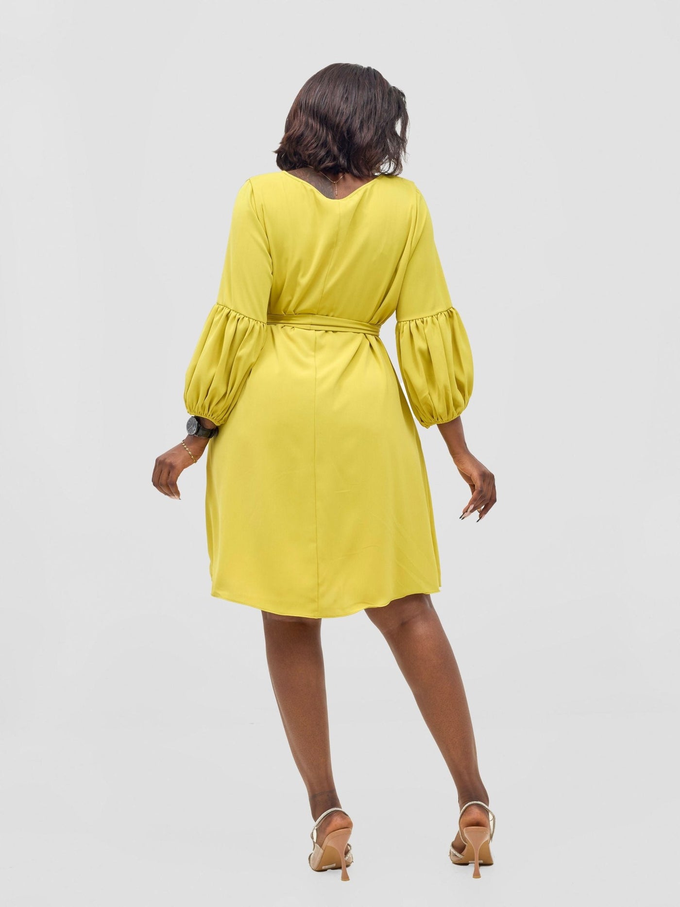 Vivo Zena Bishop Panel Long Sleeve Round Neck Dress - Lime Green - Shopzetu