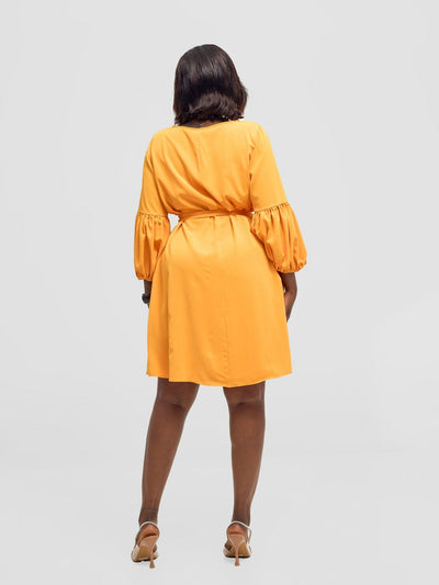 Vivo Zena Bishop Panel Long Sleeve Round Neck Dress - Light Orange - Shopzetu