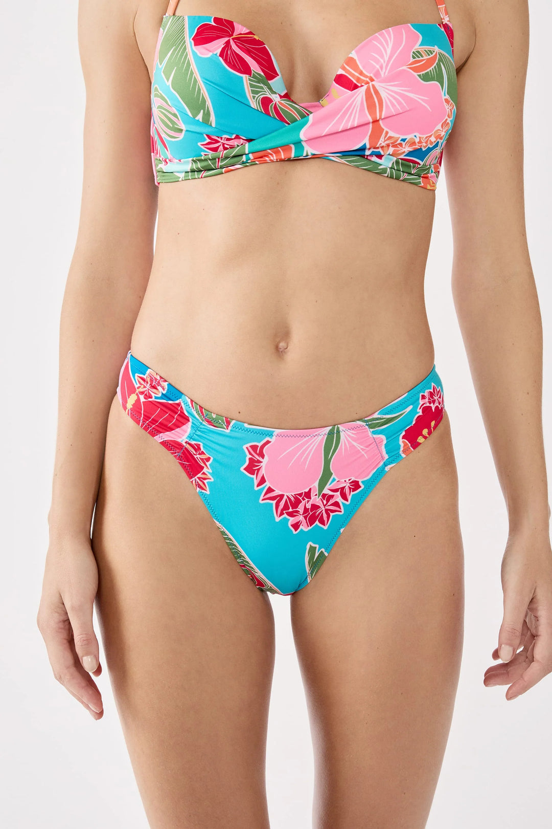 Hibiscus Tanga