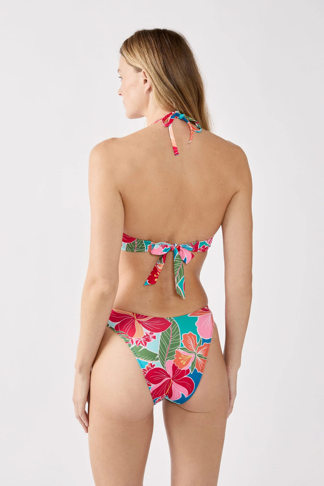 Hibiscus Tanga